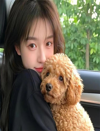 北京遇上西雅图在线观看_姐妹1在线观看完整版_扶摇电视剧在线观看免费视频